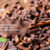 Indonesia export commodities 2(1)