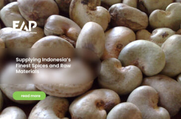 Supplying Indonesia’s Finest Spices and Raw Materials(1)