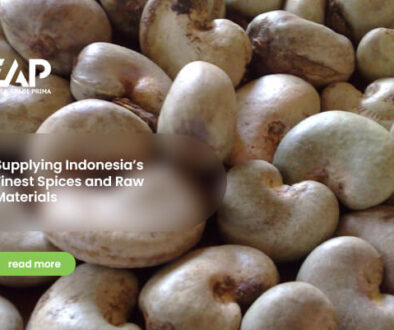 Supplying Indonesia’s Finest Spices and Raw Materials(1)