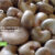 Supplying Indonesia’s Finest Spices and Raw Materials(1)