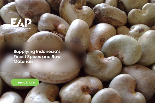 Supplying Indonesia’s Finest Spices and Raw Materials(1)