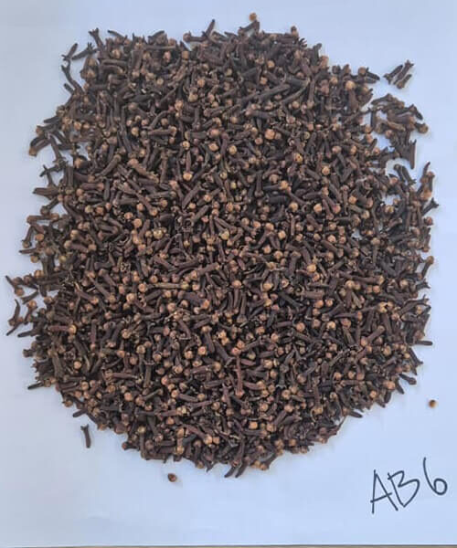 esa abadi prima (5)